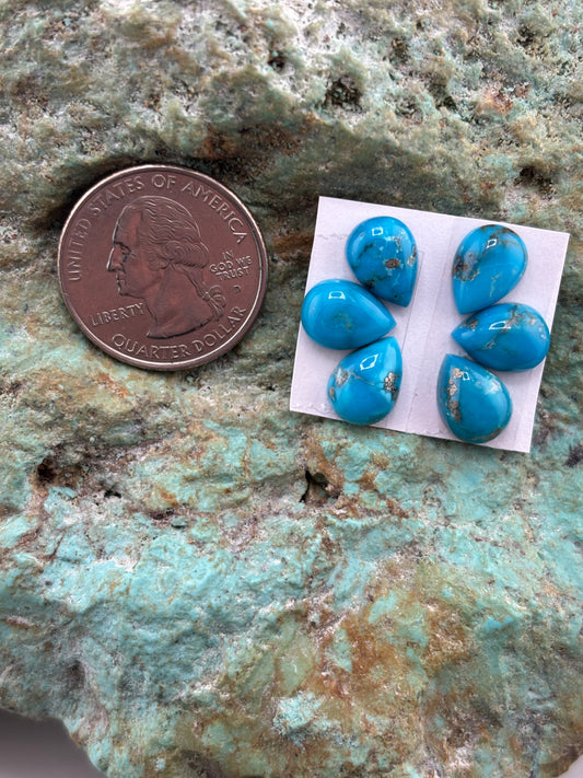 Petals 4 Calibrated Cab Set