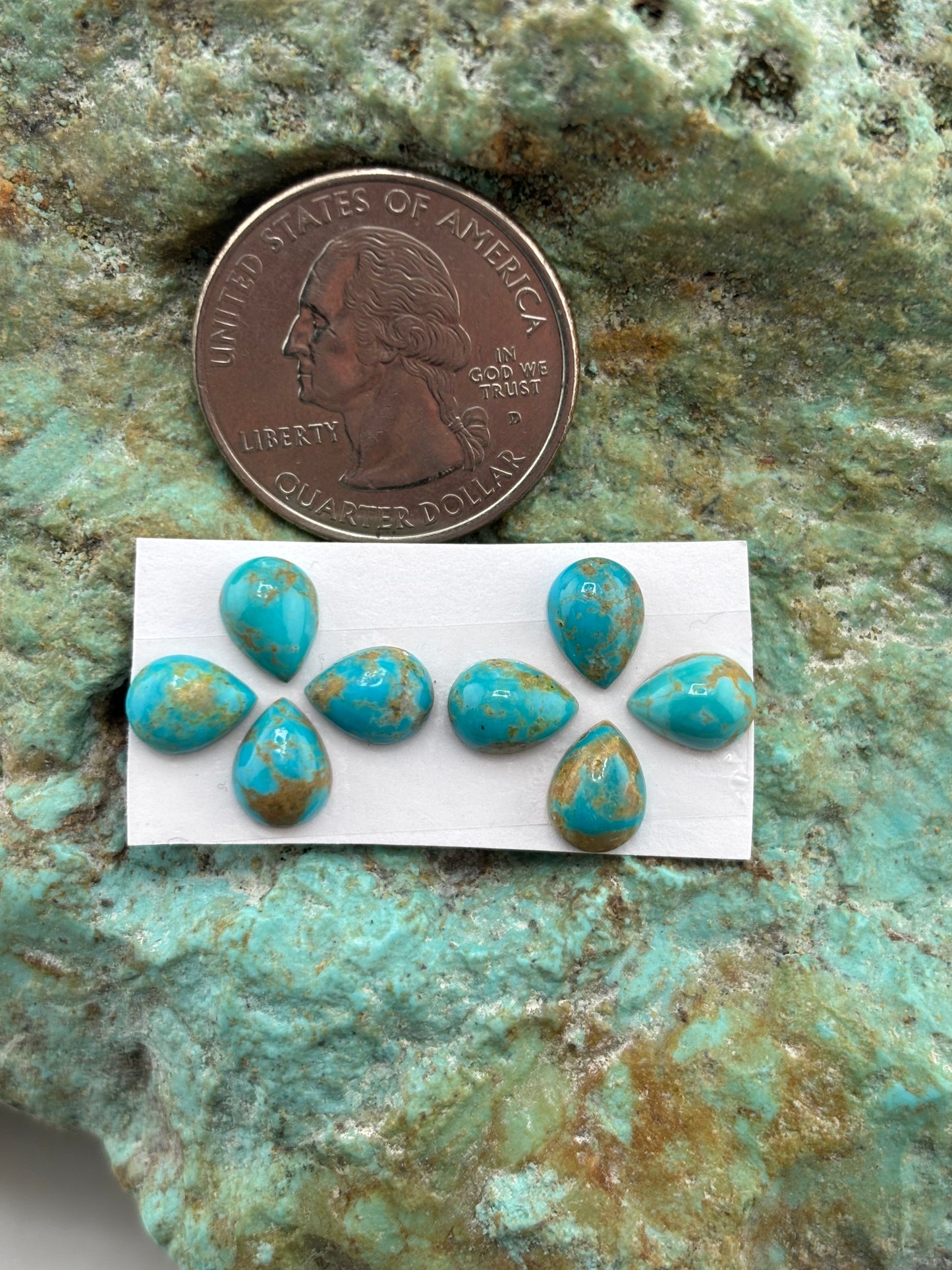 Star Stud 13 Calibrated Cab Set