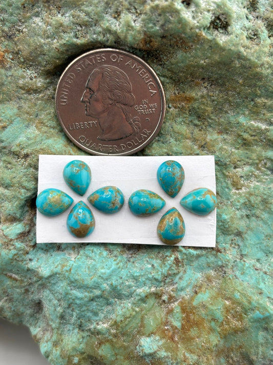 Star Stud 13 Calibrated Cab Set