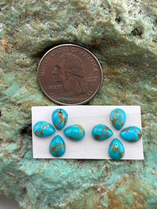 Star Stud 10 Calibrated Cab Set