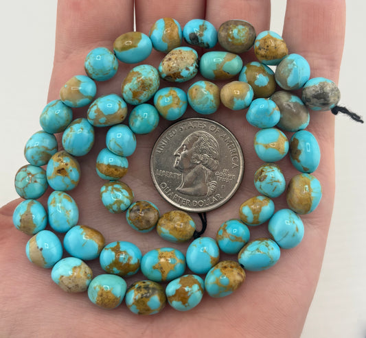 Shaped Strand