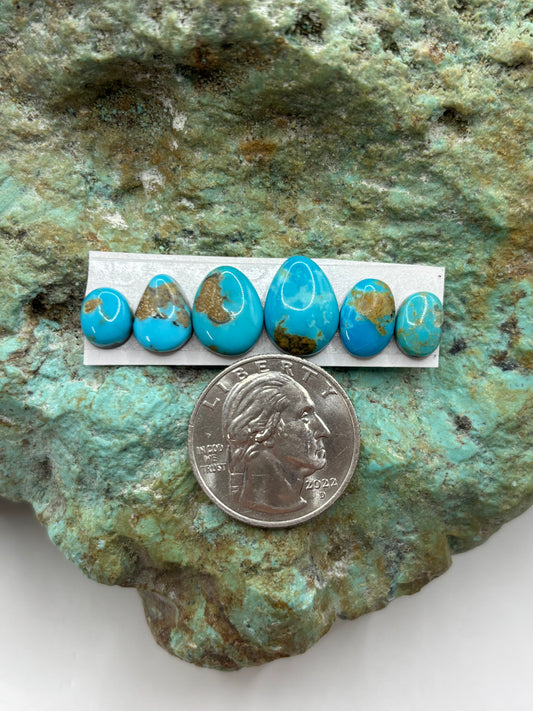 Freeform Cabochons 495