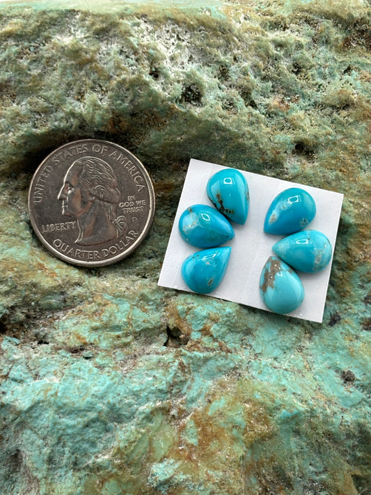 Petals 16 Calibrated Cab Set