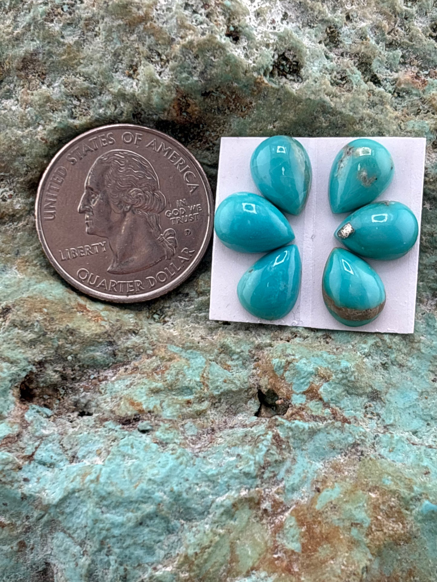 Petals 34 Calibrated Cab Set