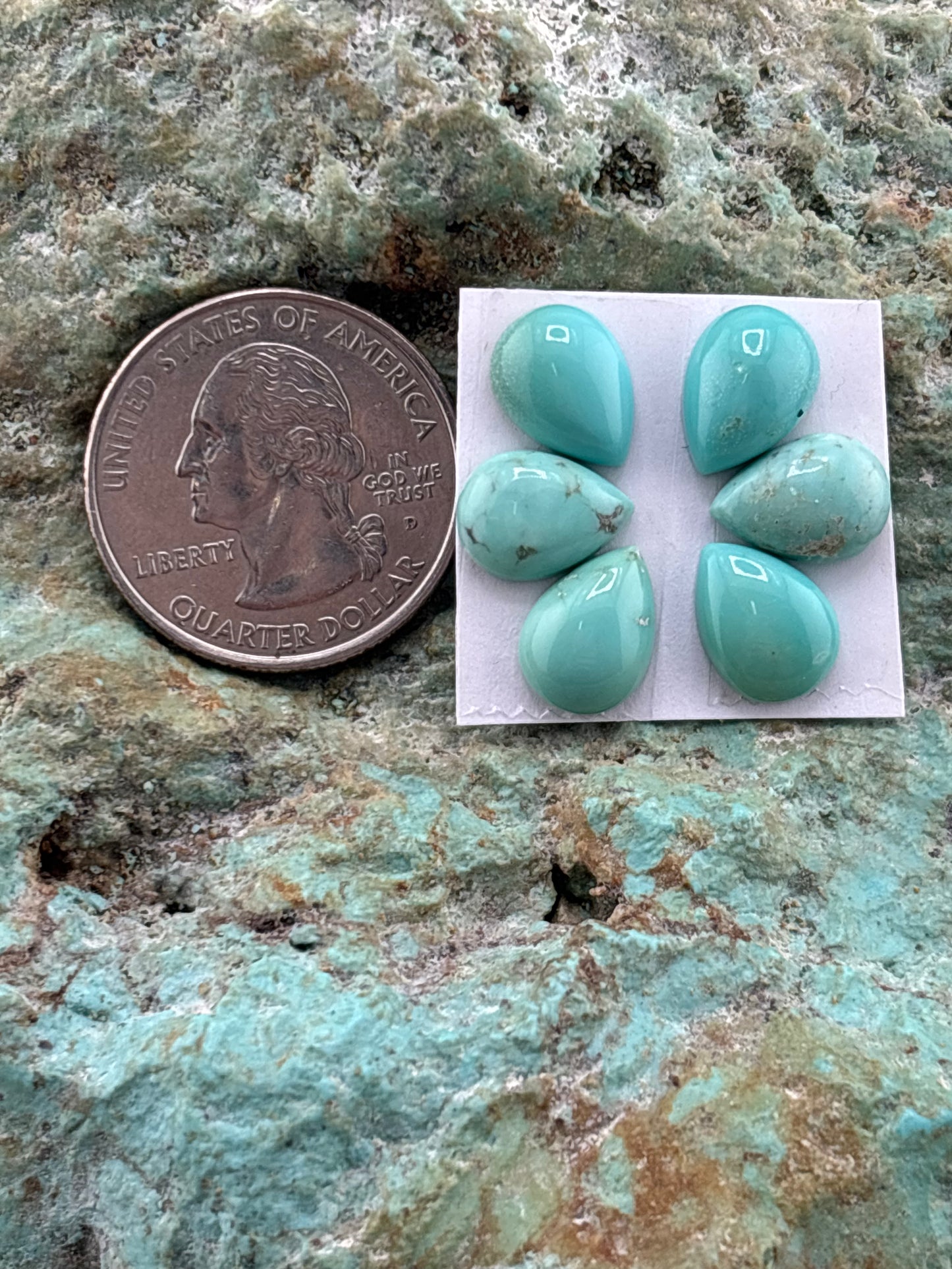 Petals 33 Calibrated Cab Set