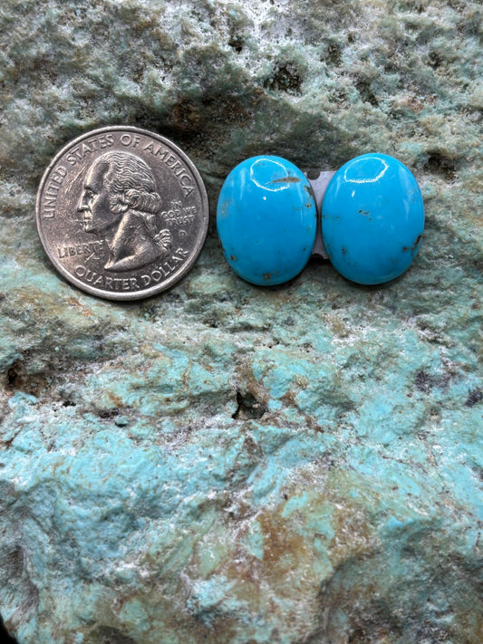 Earring Set 100
