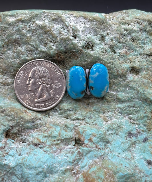 Earring Set 114