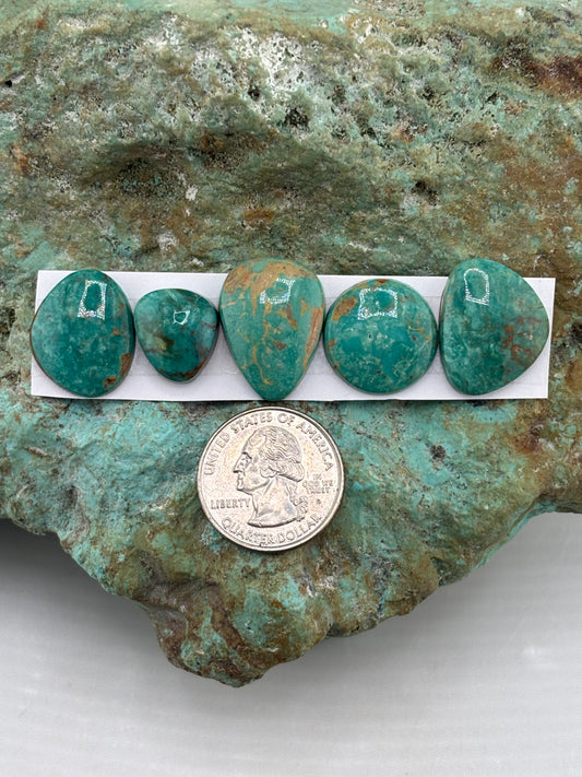 Freeform Cabochons 842