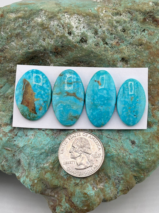 Freeform Cabochons 845