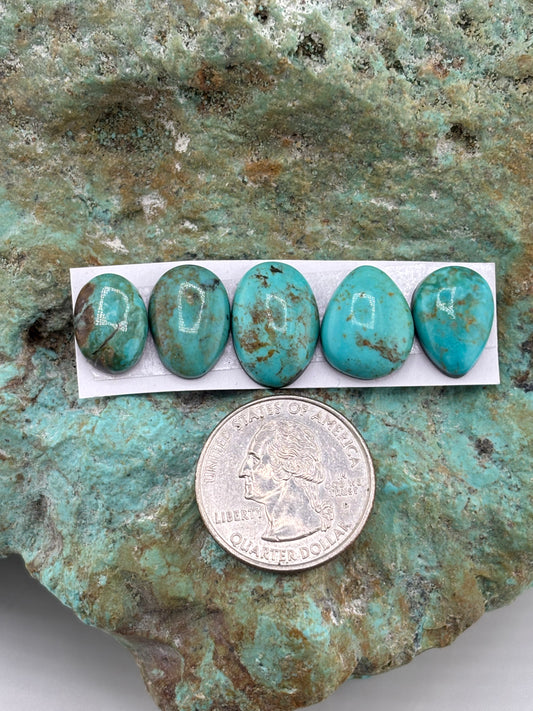 Freeform Cabochons 852