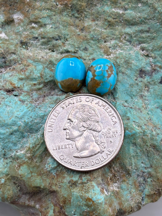 Earring set 476