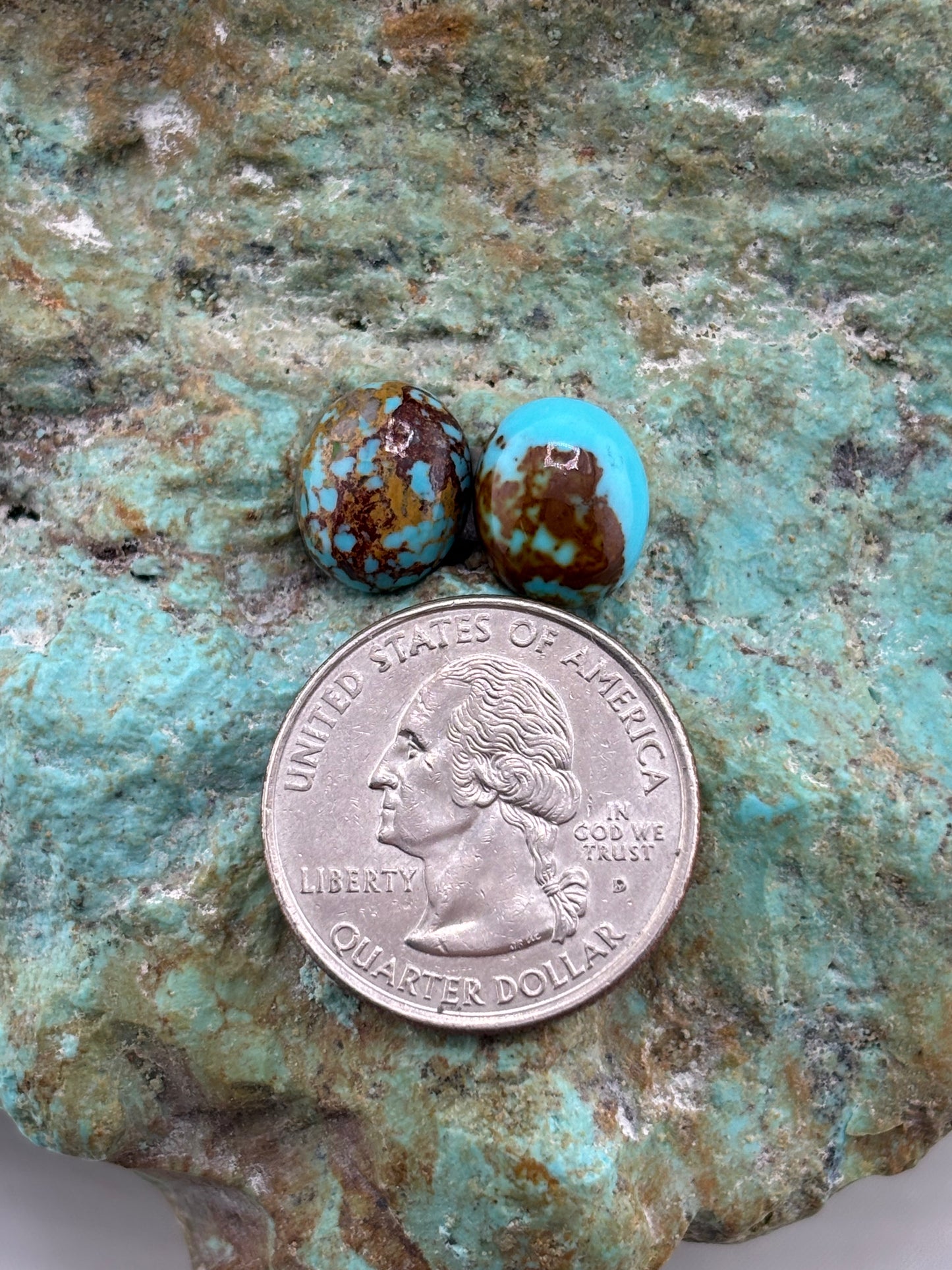 Earring Set 488