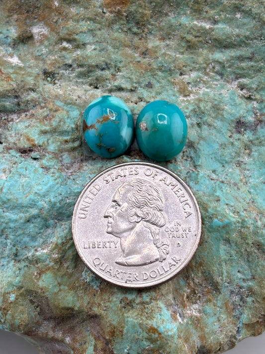 Earring Set 489