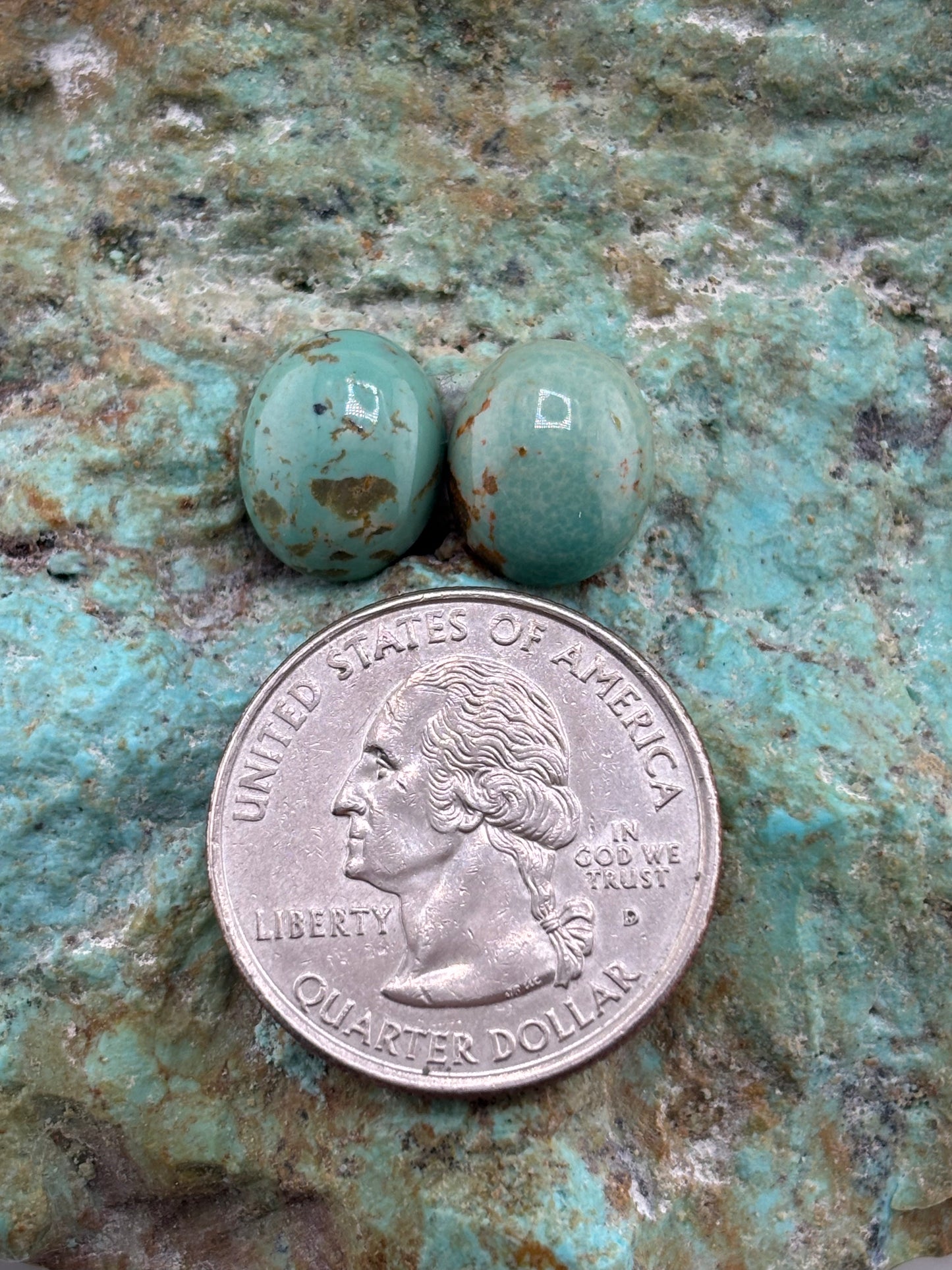 Earring Set 490