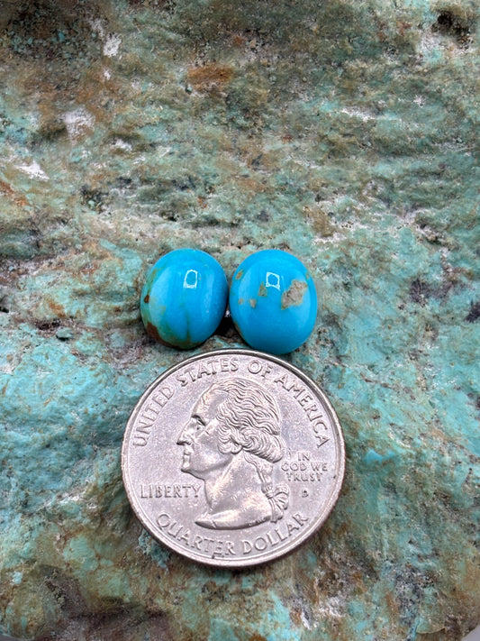 Earring Set 491