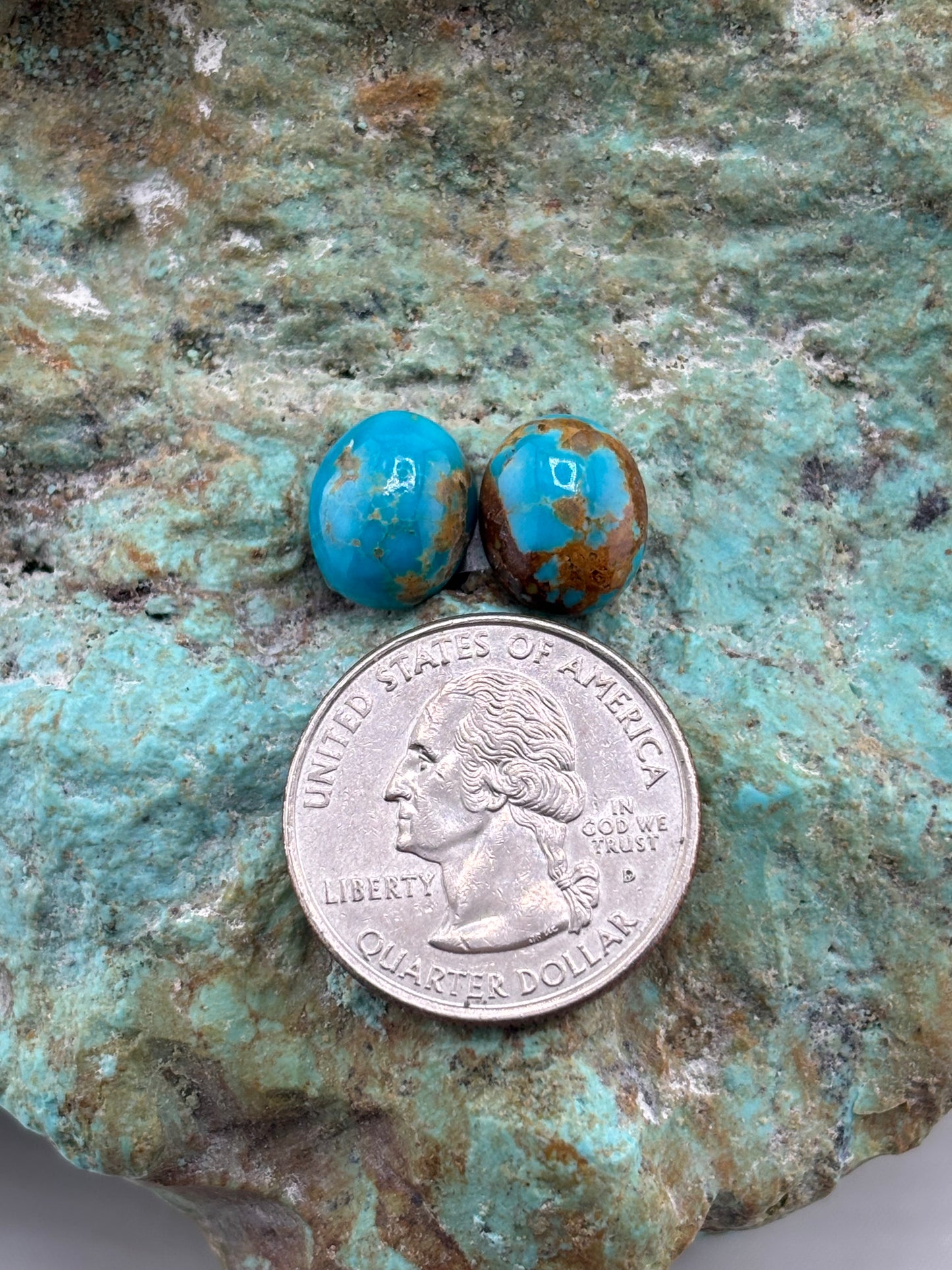 Earring Set 494