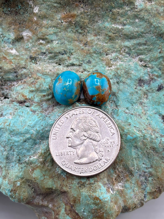 Earring Set 494