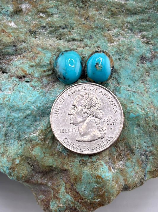 Earring Set 496