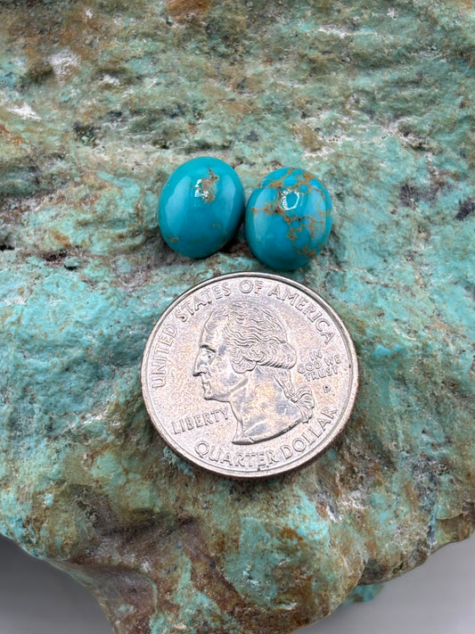 Earring Set 501