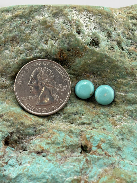 Earring Set 507