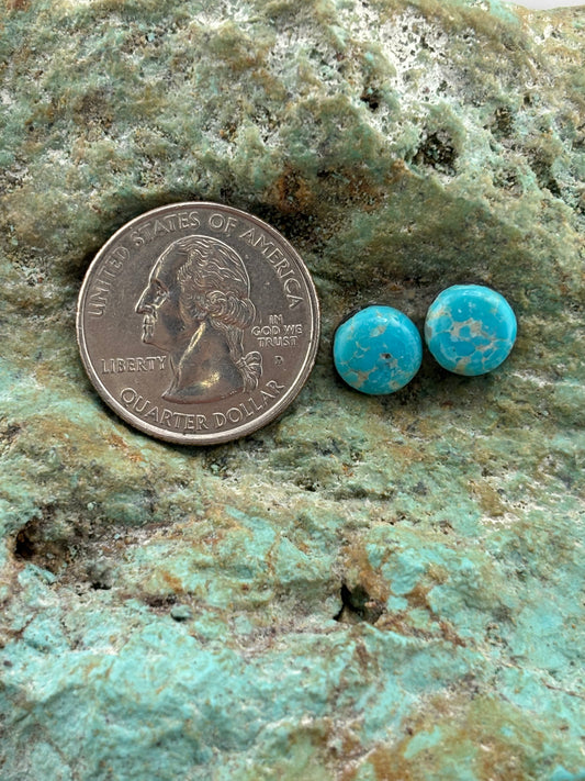 Earring Set 511