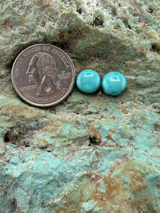Earring Set 513