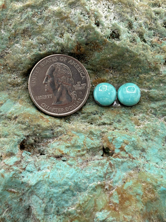 Earring Set 515