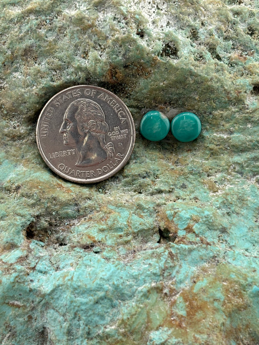 Earring Set 516