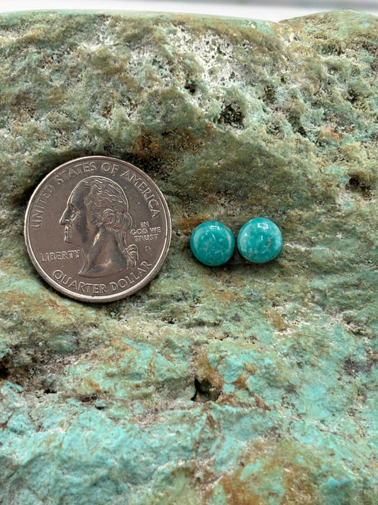 Earring Set 518