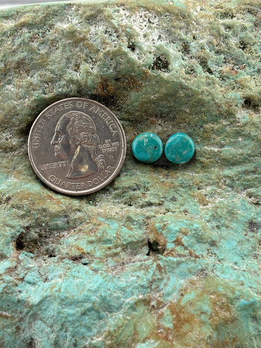 Earring Set 519