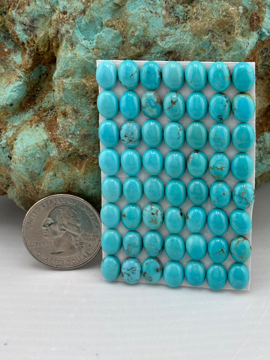 6x8 Oval Calibrated Cabs