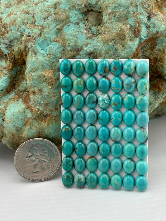 6x8 Oval Calibrated Cabs