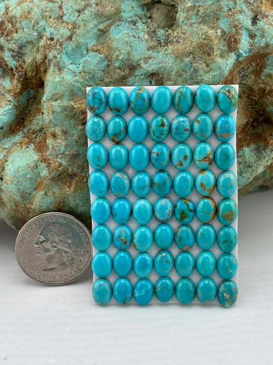 6x8 Oval Calibrated Cabs