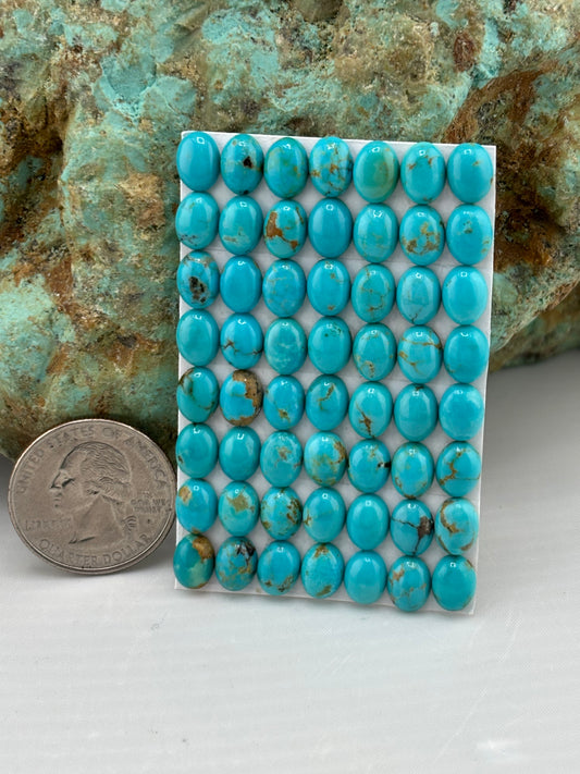 6x8 Oval Calibrated Cabs