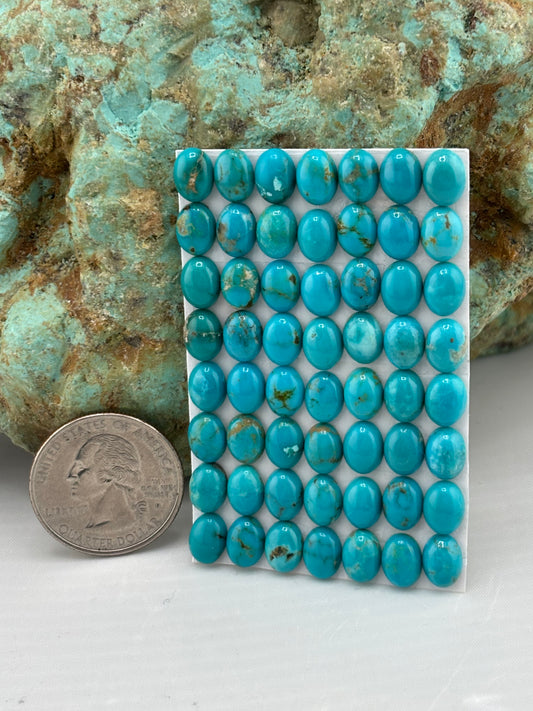 6x8 Oval Calibrated Cabs