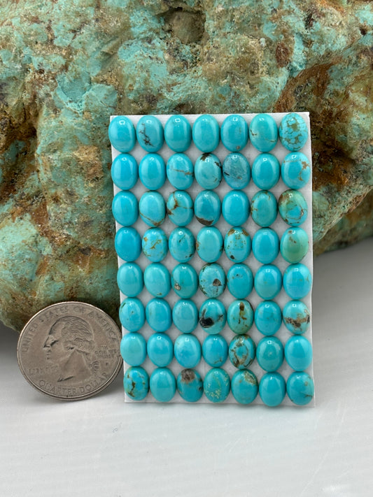 6x8 Oval Calibrated Cabs