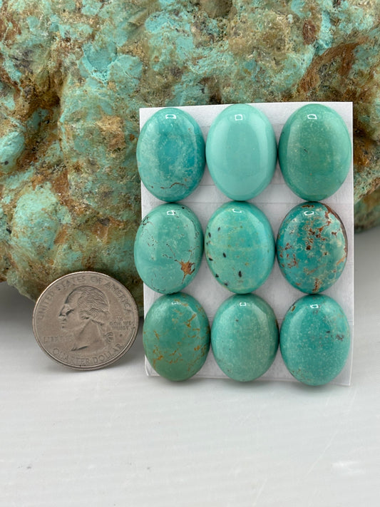 15x20 Oval Calibrated Cabs