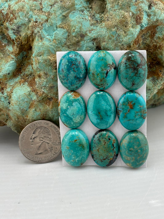 15x20 Oval Calibrated Cabs