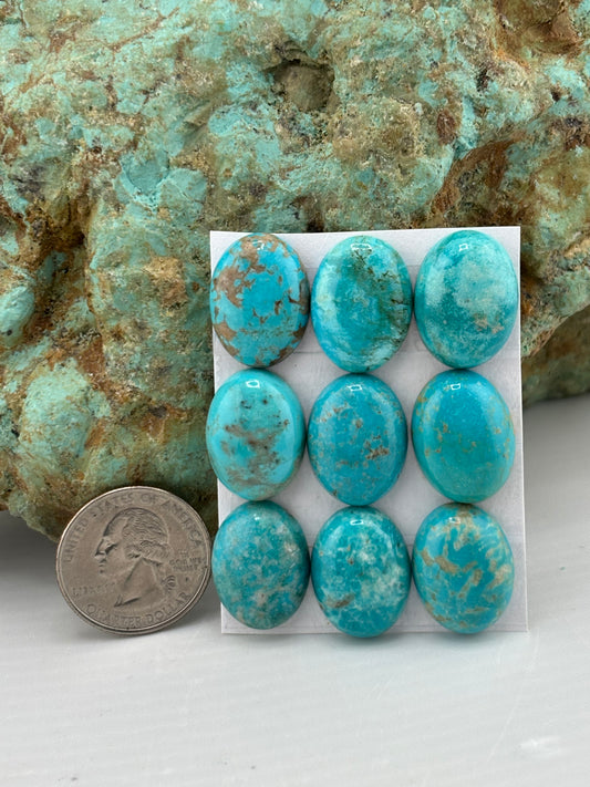15x20 Oval Calibrated Cabs