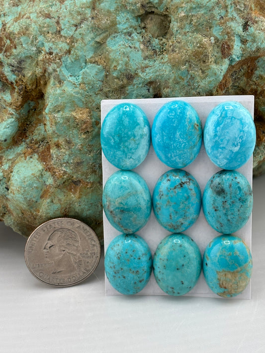 15x20 Oval Calibrated Cabs