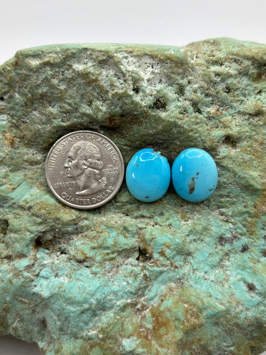 Earring Set 136