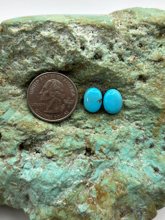 Earring Set 144
