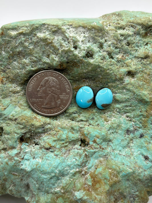 Earring Set 146