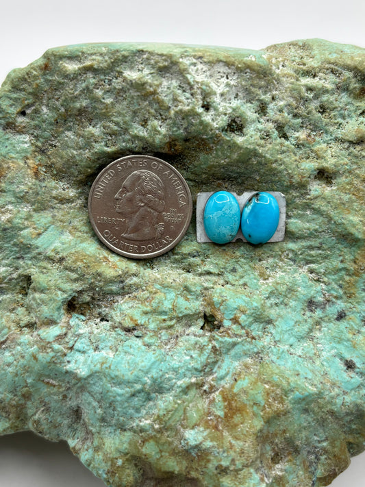Earring Set 147