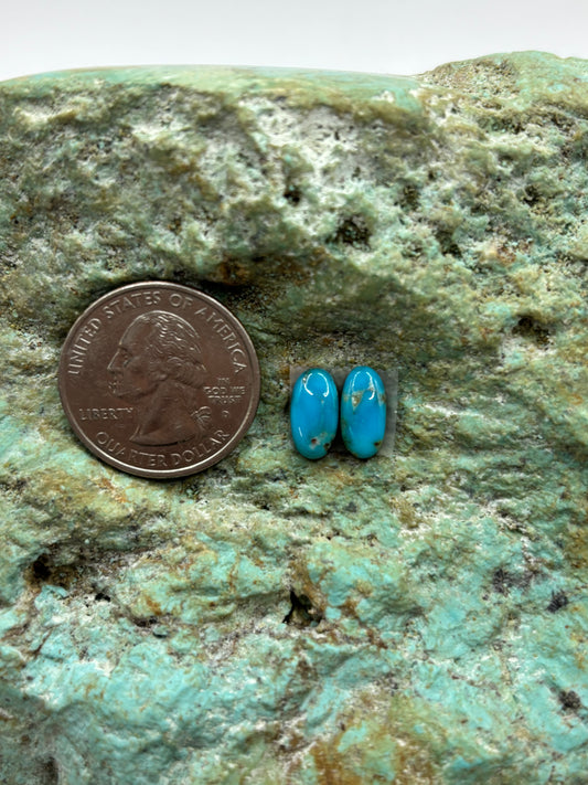 Earring Set 160
