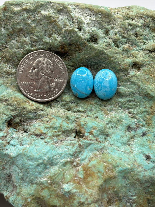 Earring Set 162