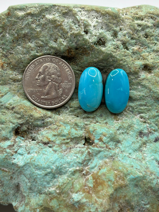Earring Set 163