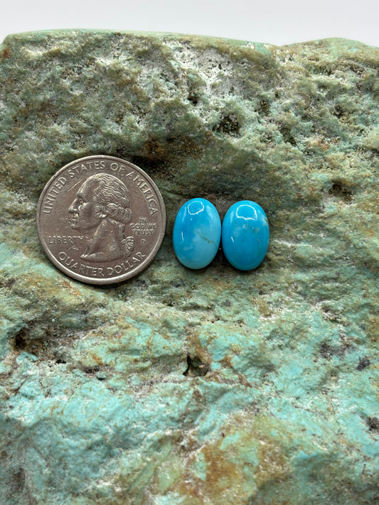 Earring Set 164