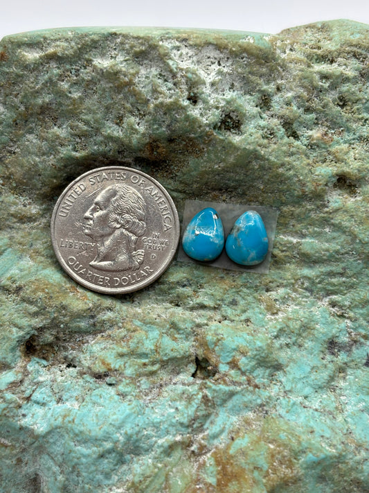 Earring Set 167