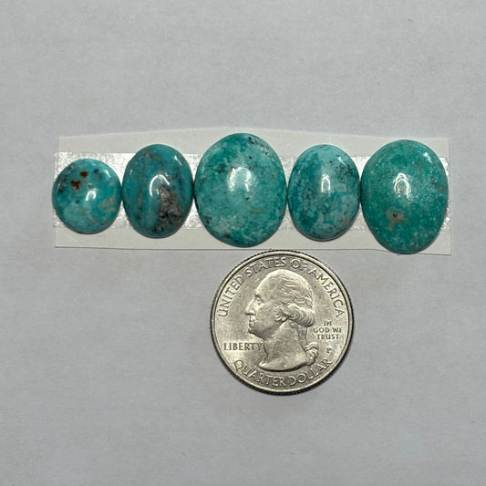 Freeform Cabochons 583